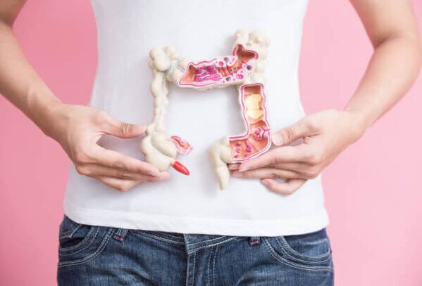 O funcionamento do intestino
